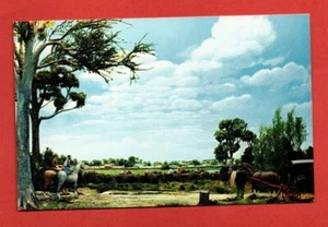 1950s CAMPTOWN RACES diorama STEPHEN FOSTER Memorial FLA. postcard race horses - Imagen 1 de 3