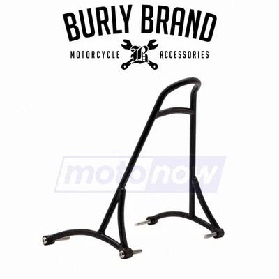 Burly Brand Sissy Bar for 2010-2020 Harley Davidson XL1200X Forty-Eight - ij Foto 1 de 4