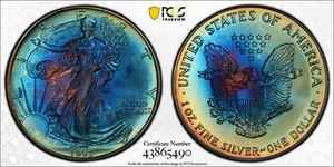 1993 $1 American Silver Eagle Blueberry Toned on Both Side PCGS MS68 #5490 - Picture 1 of 3