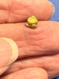 Natural Gold Nugget Specimen Bullion Placer So. Oregon Rogue River .92 Grams #2E - Picture 1 of 4