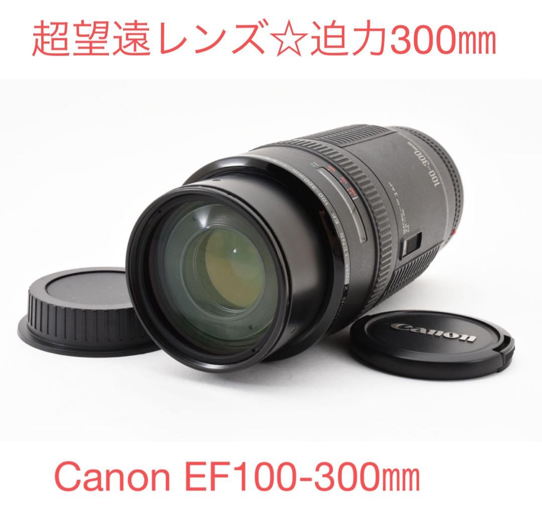 Canon EF f/5.6 Camera Lenses 100-300mm Focal for sale - eBay Canon EF f/5.6 Camera Lenses 100-300mm Focal for sale - eBay