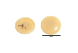 Screw cover cap for pozi screw maple # 6 & # 8 Qty. pack of 2000 - Bild 1 von 1