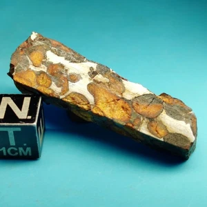 SERICHO Pallasit Meteorit Präparat aus Kenia - Bild 1 von 8