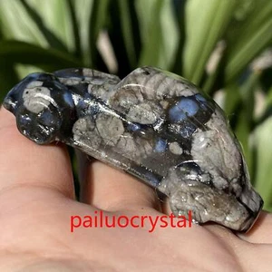 Estatuillas talladas calavera cristal cuarzo coche riolita natural gema curativa 2,3" 1 pieza - Imagen 1 de 8