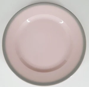 Rare VINTAGE PRENTANO McNICOL CHINA Pink Shell Gray Clarksburg, W.V USA plate 9" - Picture 1 of 12