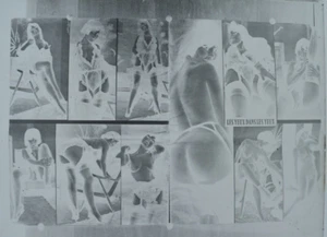 1900 PHOTO SUR PLAQUE DE VERRE NEGATIF 11 POSES FEMMES NUES EROTICA 12 x 9 CM - Imagen 1 de 2