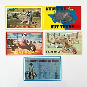 Mixed Lot x5 Texas Novelty Postcards New Old Stock Giant Rabbit Only in Texas - Picture 1 of 11