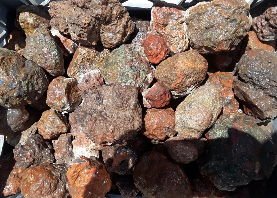 Condor Agate Pair Collector Specimen A1ma