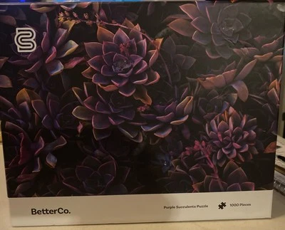 BetterCo Purple Succulents 1000 pc Puzzle Open Box - Image 1 of 4
