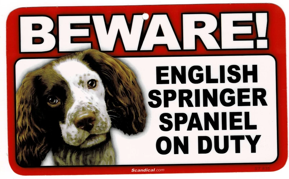 CUIDADO CON EL LETRERO LAMINADO SPRINGER SPANIEL INGLÉS PERRO/MASCOTA. ENVÍO COMBINADO. Foto 1 de 1