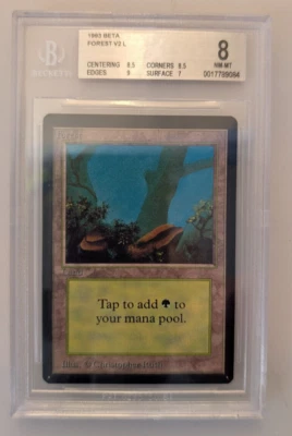 MTG Beta Forest Land Magic the Gathering BGS 8 - Image 1 of 2
