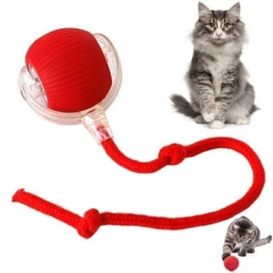 Automatic Rolling Ball Smart Cat Dog Toy Electric Pet Self-moving Kitten Game UK - Picture 1 of 13