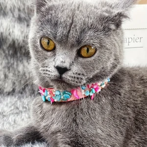 Stylish Boho Floral Stone Pet Necklace for Dogs and Cats Small Peach - Picture 1 of 2