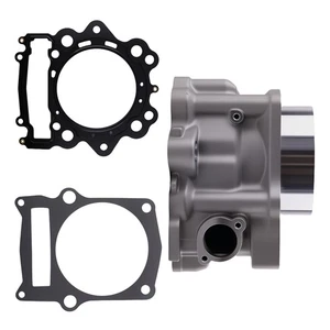 Cylinder Assembly for Yamaha Raptor 700 700R YFM700R YFM700 1S3-11310-01-00 - Picture 1 of 12