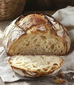 1000 year old ITALY Sourdough Starter - Camaldoli Monastery | Organic Dehydrated - Picture 1 of 11