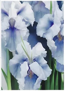 Glossy 5 x 7 Print of Seller's Original Digital Artwork White Iris Flowers - Picture 1 of 1
