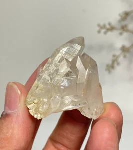 Rutile Himalayan Quartz Natural Crystal Q278a - Bild 1 von 5