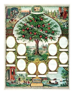 Vintage Genealogy Ancestry Family Tree / Chart / Record #3 - Poster - 4 Sizes - Picture 1 of 1