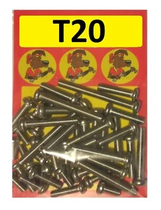 Suzuki T20 - Kit Coprimotore - Viti Testa Philips Inox A2 - Foto 1 di 1