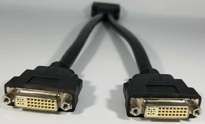 DMS-60 to 2 x DVI Female Adapter Dual DVI Monitor Splitter Cable - Picture 1 of 6