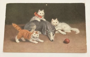 Postal vintage 3 gatos gatitos jugando con perro antigua firmada por artista - Imagen 1 de 3