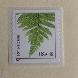 US 4849 Felci Soft Shield Felce 49c bobina singola MNH 2014 - Foto 1 di 1