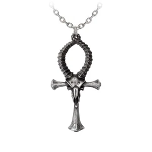 Collar Colgante Alquimia Gótico Ankh de Amón Calavera Huesos Peltre Egipcio Wicca - Imagen 1 de 1