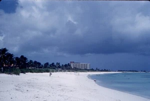 color slide Kodachrome beach-palm trees-Florida Sunshine -1962 - Picture 1 of 1