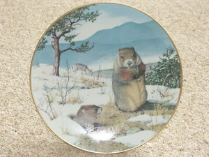 The Woodland Year - Woodchucks in the February Thaw - Franklin by Peter Barrett - Picture 1 of 6