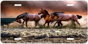Horses Playing on Beach Artwork License Plate Auto Car Bike Motorcycle Wall Sign - Picture 1 of 4