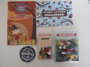 LEGO® Booster Bricks Club Minifigure und Microbuild Challenges 10/2019 - Bild 1 von 5