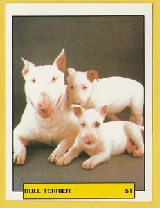 Dogs - Spanish Trade Trading card sticker circa 1981 Merchante #51 Bull Terrier - Picture 1 of 2