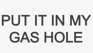 PUT IT IN MY GAS HOLE - Vinyl Aufkleber WEISS Sticker Auto Fenster Wand Stoßstange LOL - Bild 1 von 3