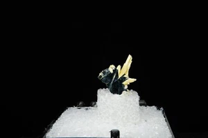 Rutile on Hematite / Thumbnail Mineral Specimen / Novo Horizonte, Brazil - Picture 1 of 2
