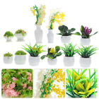  13 Pcs Mini-Blumentopf-Modell Künstliche Pflanzen Kunstpflanze