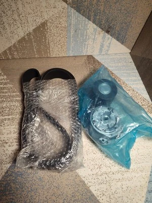 Kit de componentes de transmisión por correa serpentina de 2 piezas para Freightliner Cascadia Western Star Foto 1 de 4