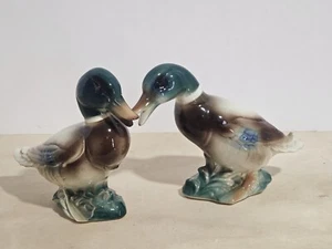 Vintage 50s Royal Windsor Pair of Glazed Porcelain Squabbling Mallard Ducks - Picture 1 of 9