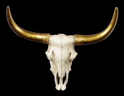 MARKENLOS Relieve de pared cráneo de búfalo - cuernos dorados - decoración de pared cráneo de animal cráneo de vacuno