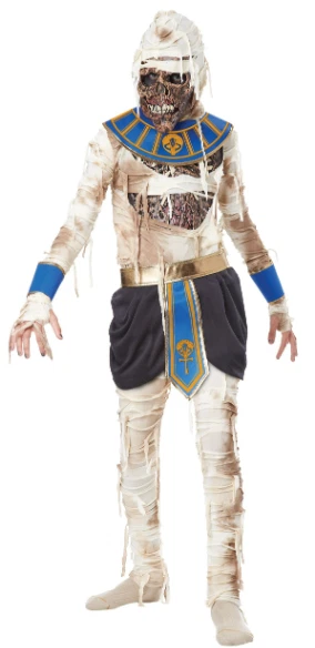 Pharoahs Revenge Kid's Halloween Costume - Image 1 of 1