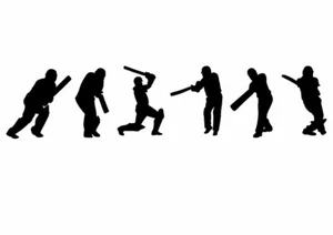 Cricket Cricketer Wall Art Vinyl Stickers Boys Girls Bedroom Decals Decoration - Picture 1 of 5