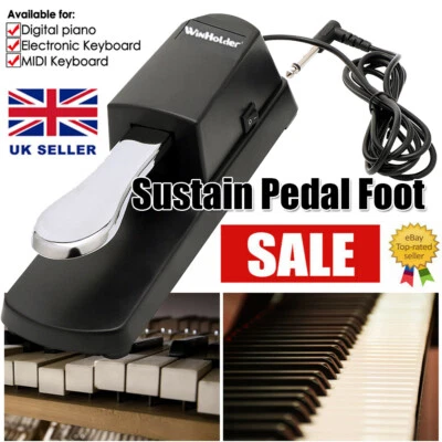 Universal Piano Damper Sustain Pedal Foot Switch for Yamaha Casio Piano Keyboard
