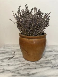 RARO ANTICO COCCIO SMALTATO SALE SEMI-OVOIDO - FH COWDEN timbrato 7”H X7,25” W - Foto 1 di 12