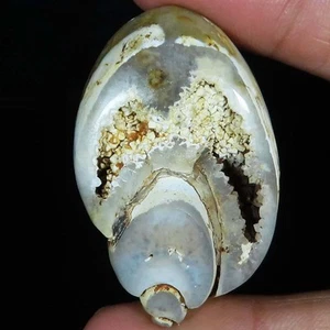 Brown Snail Fossil Druzy Agate Crystal Druzy Gemstone 120.15 Ct 30x48x11 mm JK56 - Picture 1 of 6