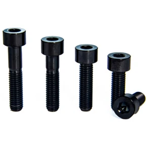 Titan Stigma Schrauben schwarz Ti Bolzen M8x20 25 30 35 40mm Fahrrad Refit Screw - Bild 1 von 8