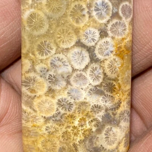 21g Incredibile Ciondolo Cristallo Naturale 21g Fiori di Corallo Corallite Diaspro - Foto 1 di 10