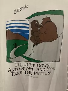 VTG Colorado T-Shirt Single Stitch Fruit Of The Loom Tee Mens Size S - Picture 1 of 10