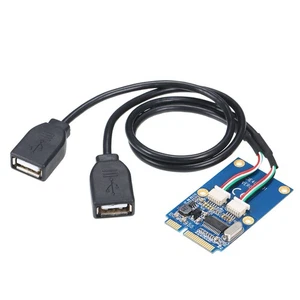 1Pcs Mini PCI-E PCI Express to 5 Pin Dual USB 2.0 Adapter Riser Expansion Card n - Picture 1 of 9