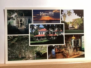 Edison-Ford Winter Estates: Fort Meyers, FL - Vintage Postcard - Picture 1 of 3