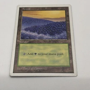 Magic The gathering Forest Fifth Edition Land Illustrator David O’Connor 1997 - Picture 1 of 14