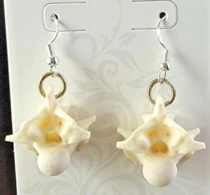 Rattlesnake bone earrings .925 SS sterling silver ear wire real vertebrae - Picture 1 of 12